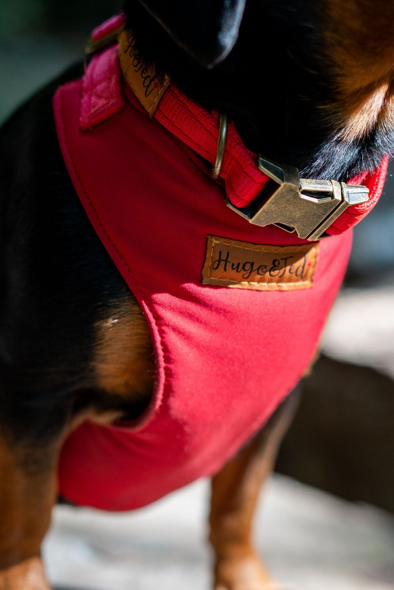 Rainfleece Harnesses - Soft, Durable, Waterproof, Practical Harnesses for Everyday Adventures - Hugo and Ted