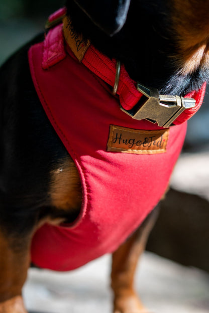 Rainfleece Harnesses - Soft, Durable, Waterproof, Practical Harnesses for Everyday Adventures - Hugo and Ted