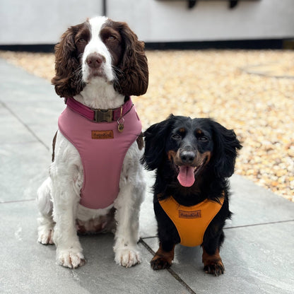 Rainfleece Harnesses - Soft, Durable, Waterproof, Practical Harnesses for Everyday Adventures - Hugo and Ted