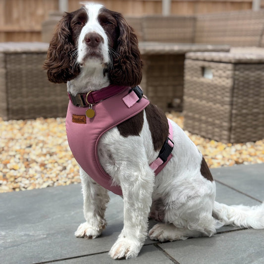 Rainfleece Harnesses - Soft, Durable, Waterproof, Practical Harnesses for Everyday Adventures - Hugo and Ted