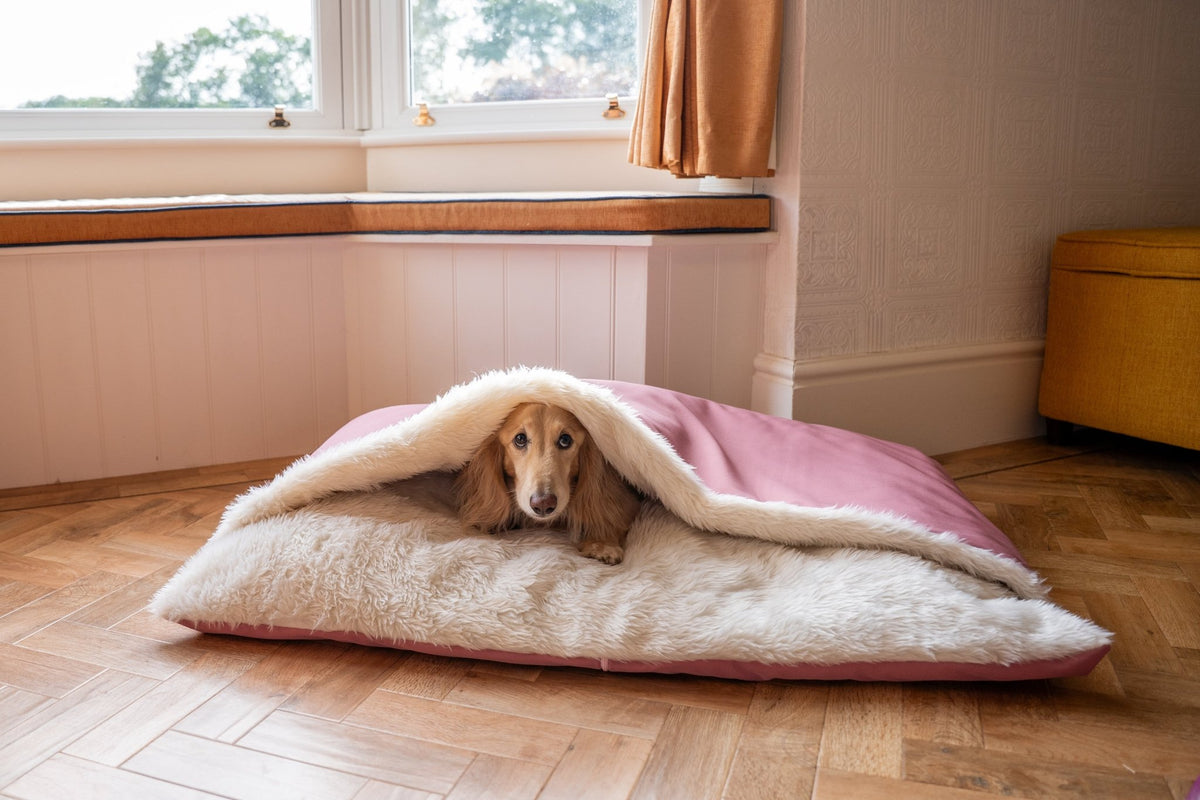Rainfleece Personalised Waterproof Dog Den Bed - Canopy, Made to Order - Hugo and Ted