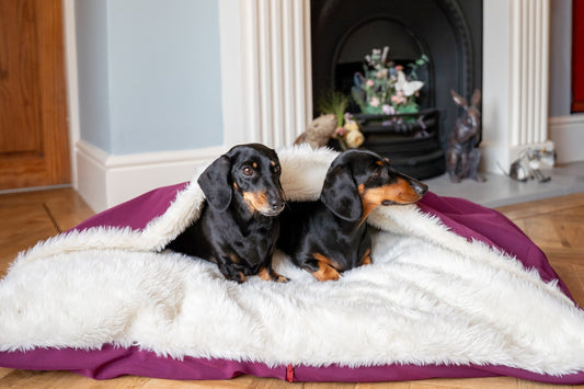 Rainfleece Personalised Waterproof Dog Den Bed - Canopy, Made to Order - Hugo and Ted