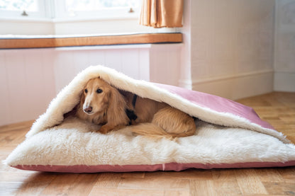 Rainfleece Personalised Waterproof Dog Den Bed - Canopy, Made to Order - Hugo and Ted