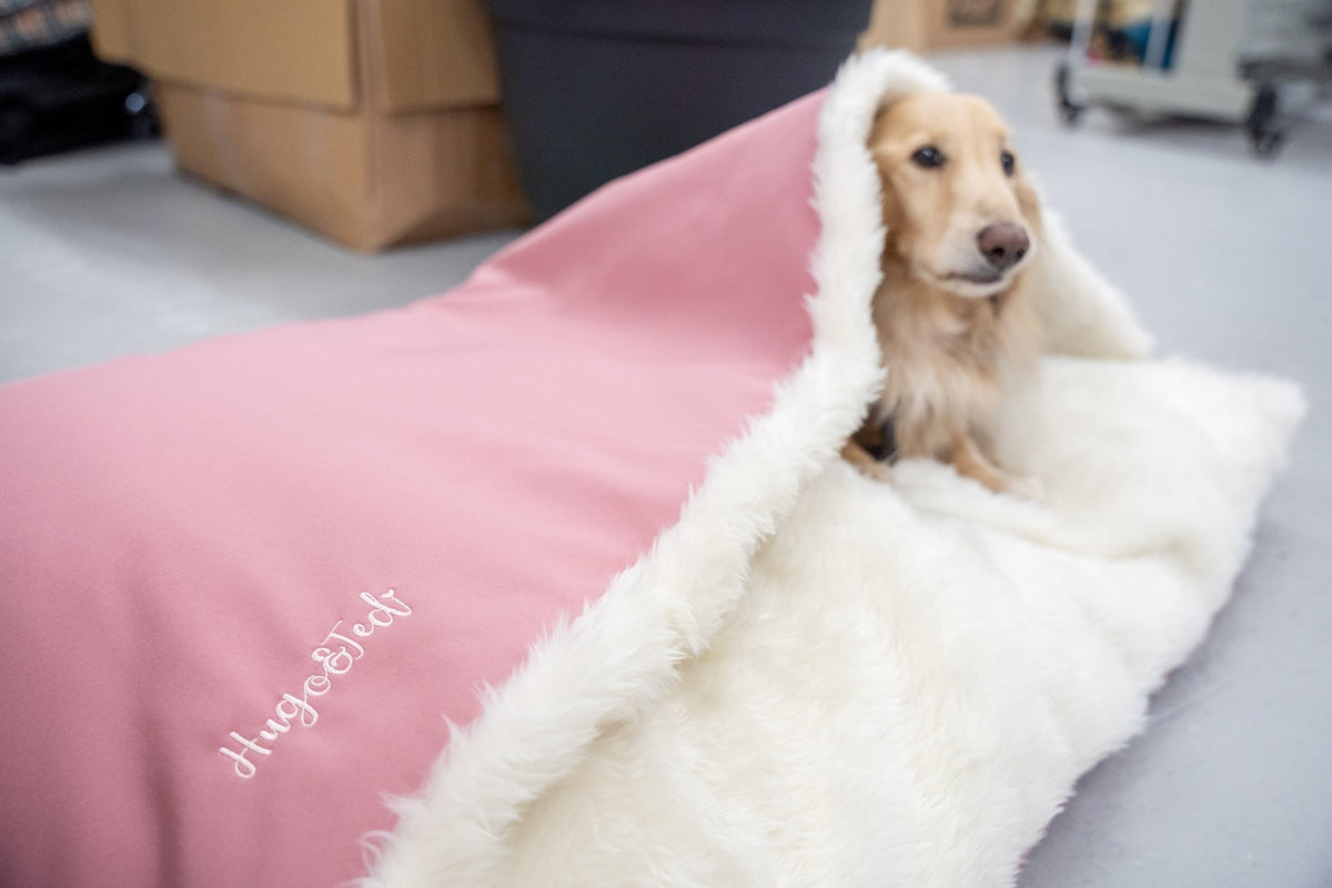 Rainfleece Personalised Waterproof Dog Den Bed - Canopy, Made to Order - Hugo and Ted