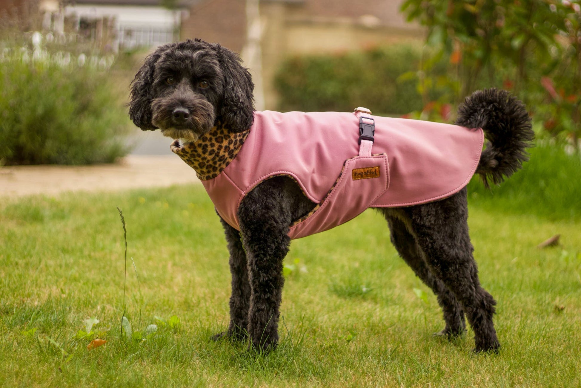 Rainfleece Ultimate Walkies Waterproof Coats – Made - to - Measure Dog Coat with Polar Fleece Lining & Harness Hole Option - Hugo and Ted