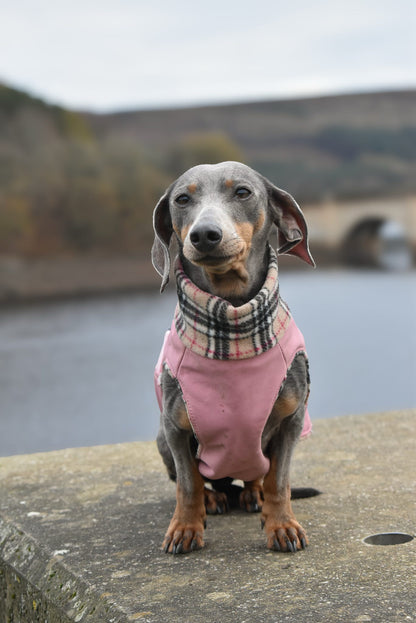 Rainfleece Ultimate Walkies Waterproof Dog Coats - Made to Measure - Hugo and Ted