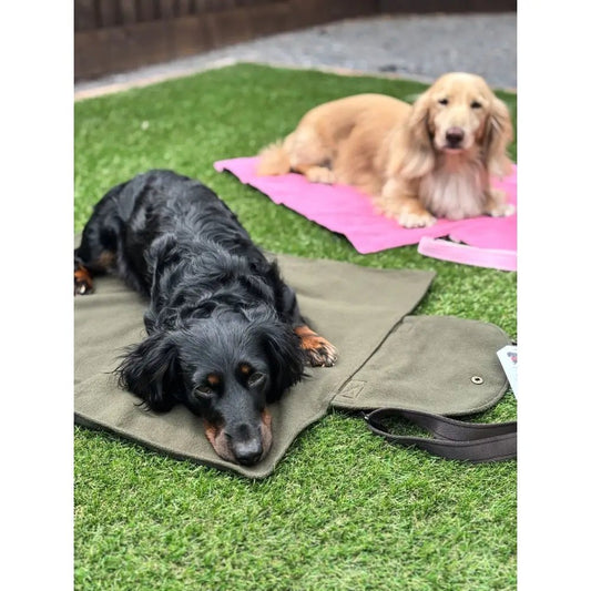 Rainfleece Waterproof Dog Walkies Mat - One Size, Ready to Ship - Hugo and Ted
