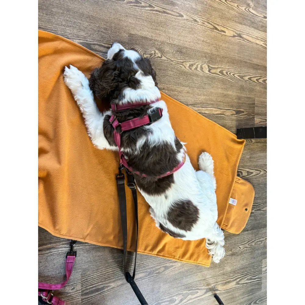 Rainfleece Waterproof Dog Walkies Mat - Personalised, 2 Sizes - Hugo and Ted