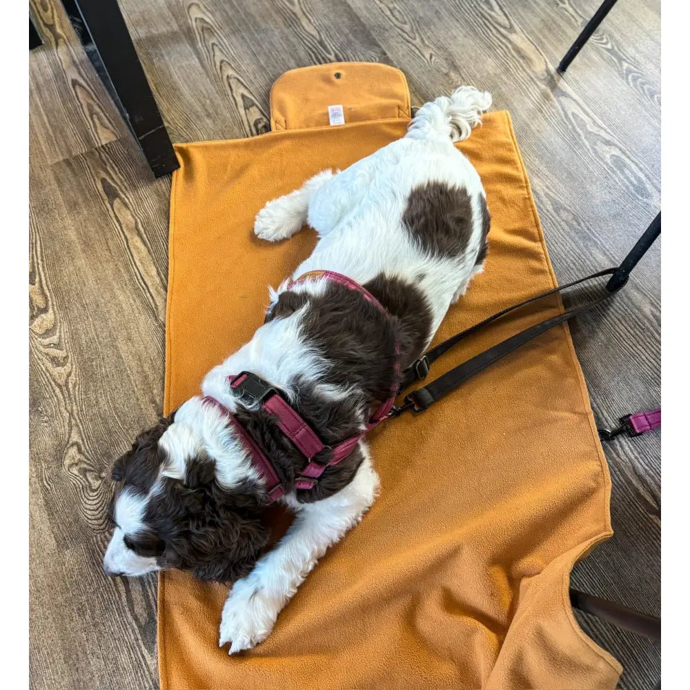 Rainfleece Waterproof Dog Walkies Mat - Personalised, 2 Sizes - Hugo and Ted