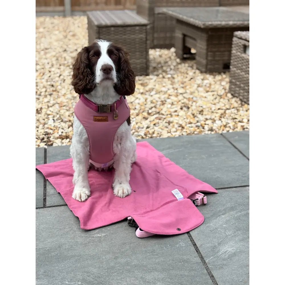 Rainfleece Waterproof Dog Walkies Mat - Personalised, 2 Sizes - Hugo and Ted