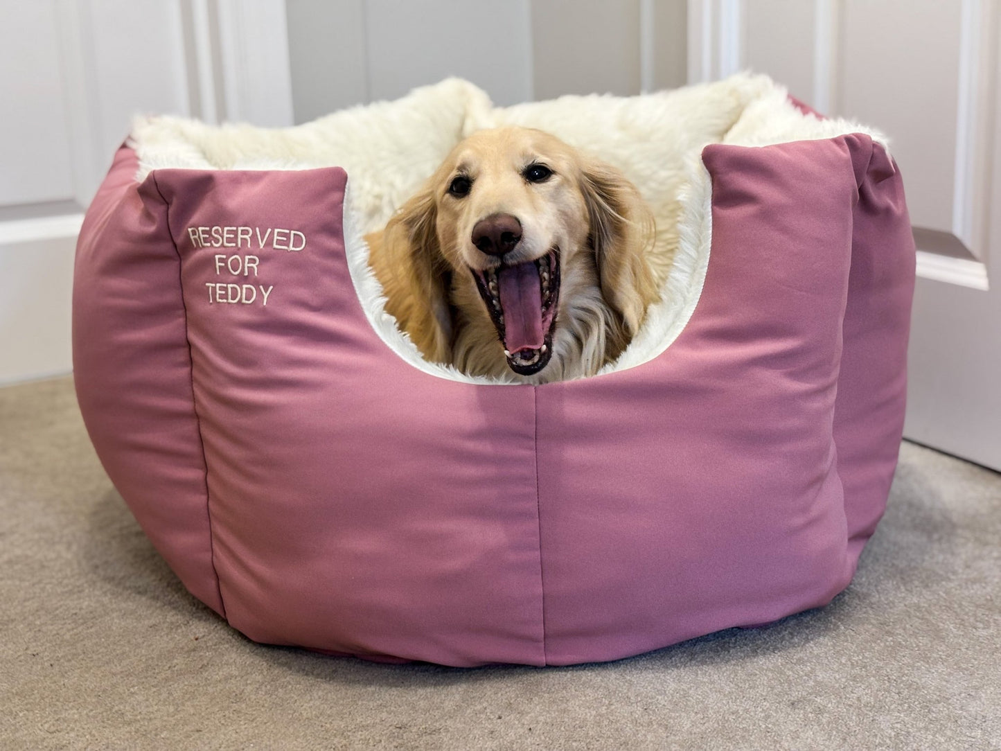 Rainfleece Waterproof Fortress Beds – Luxury, Sustainable & Super Comfy - Hugo and Ted
