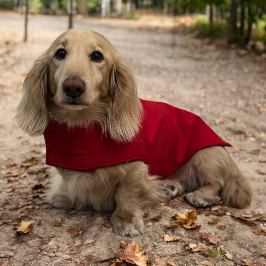 Rainfleece Waterproof Simple Dog Coats - Hugo and Ted