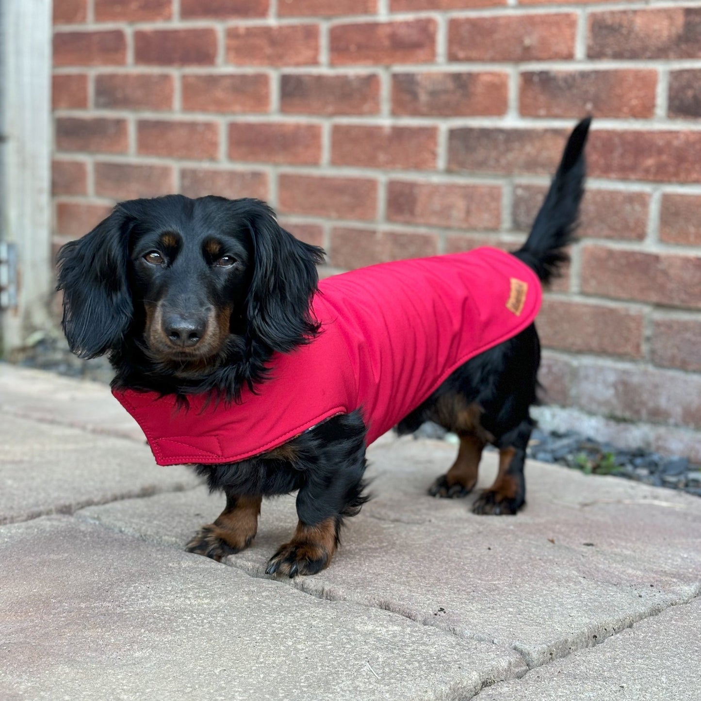 Rainfleece Waterproof Simple Dog Coats - Hugo and Ted