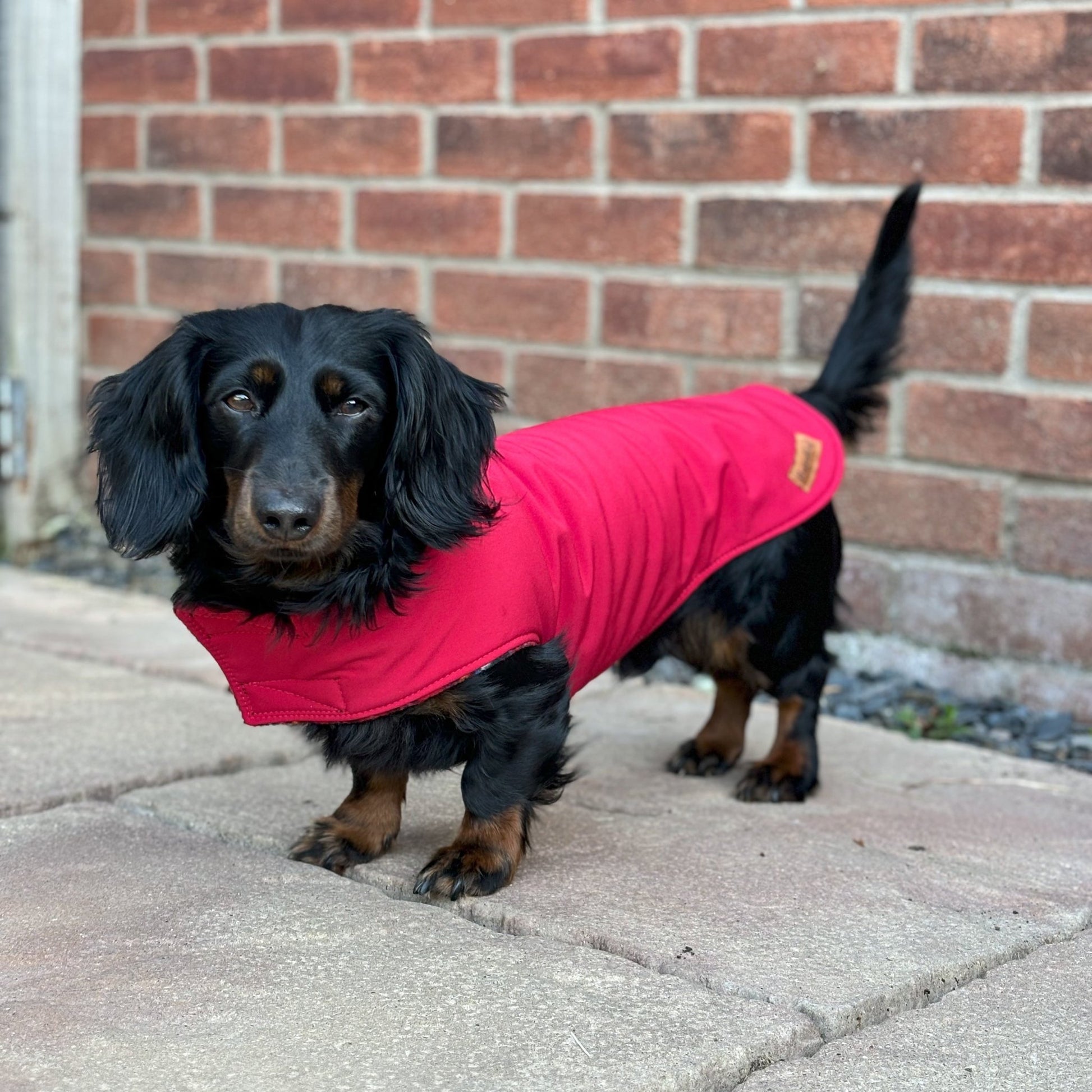 Rainfleece Waterproof Simple Dog Coats - Hugo and Ted