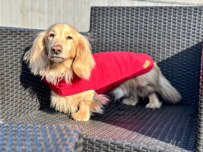 Rainfleece Waterproof Simple Dog Coats - Hugo and Ted