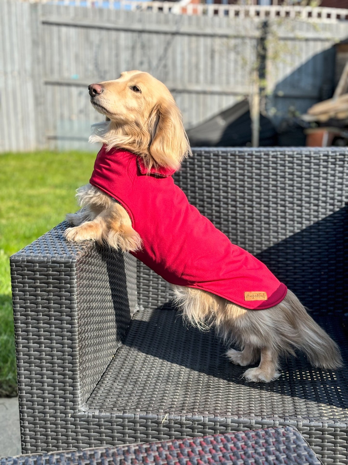 Rainfleece Waterproof Simple Dog Coats - Hugo and Ted