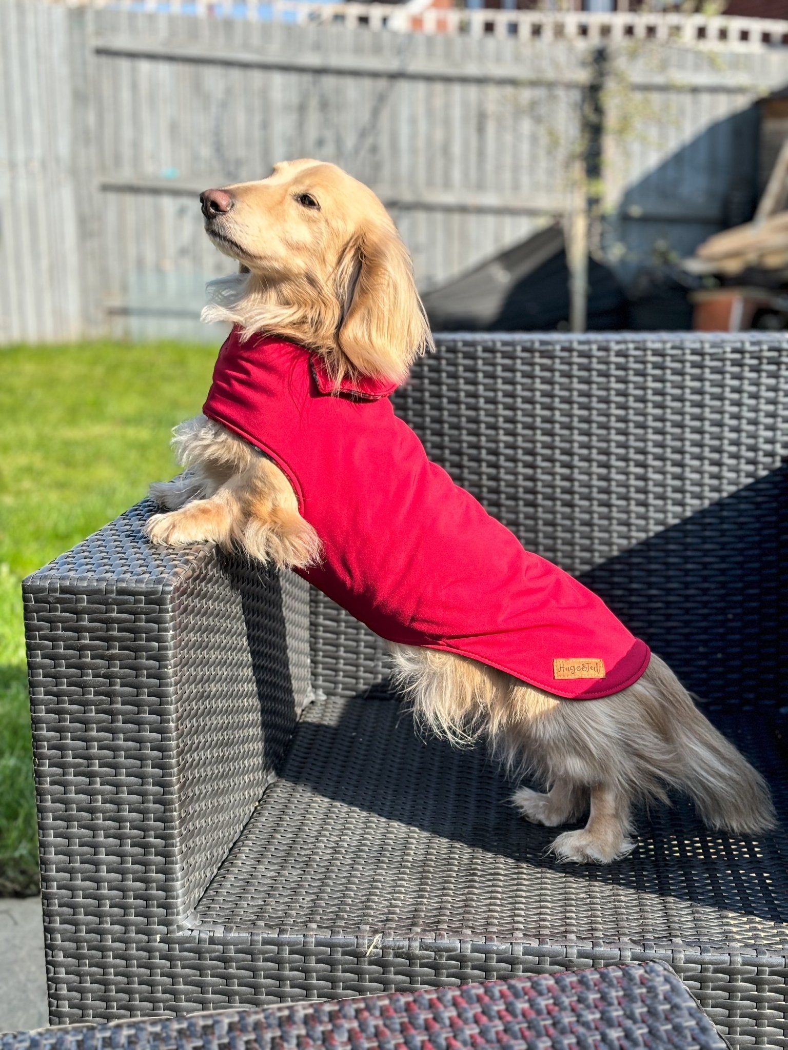 Rainfleece Waterproof Simple Dog Coats - Hugo and Ted