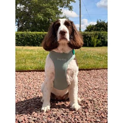 Rainfleece Waterproof Step-In Dog Harness - Made to Measure, All Breeds - Hugo and Ted
