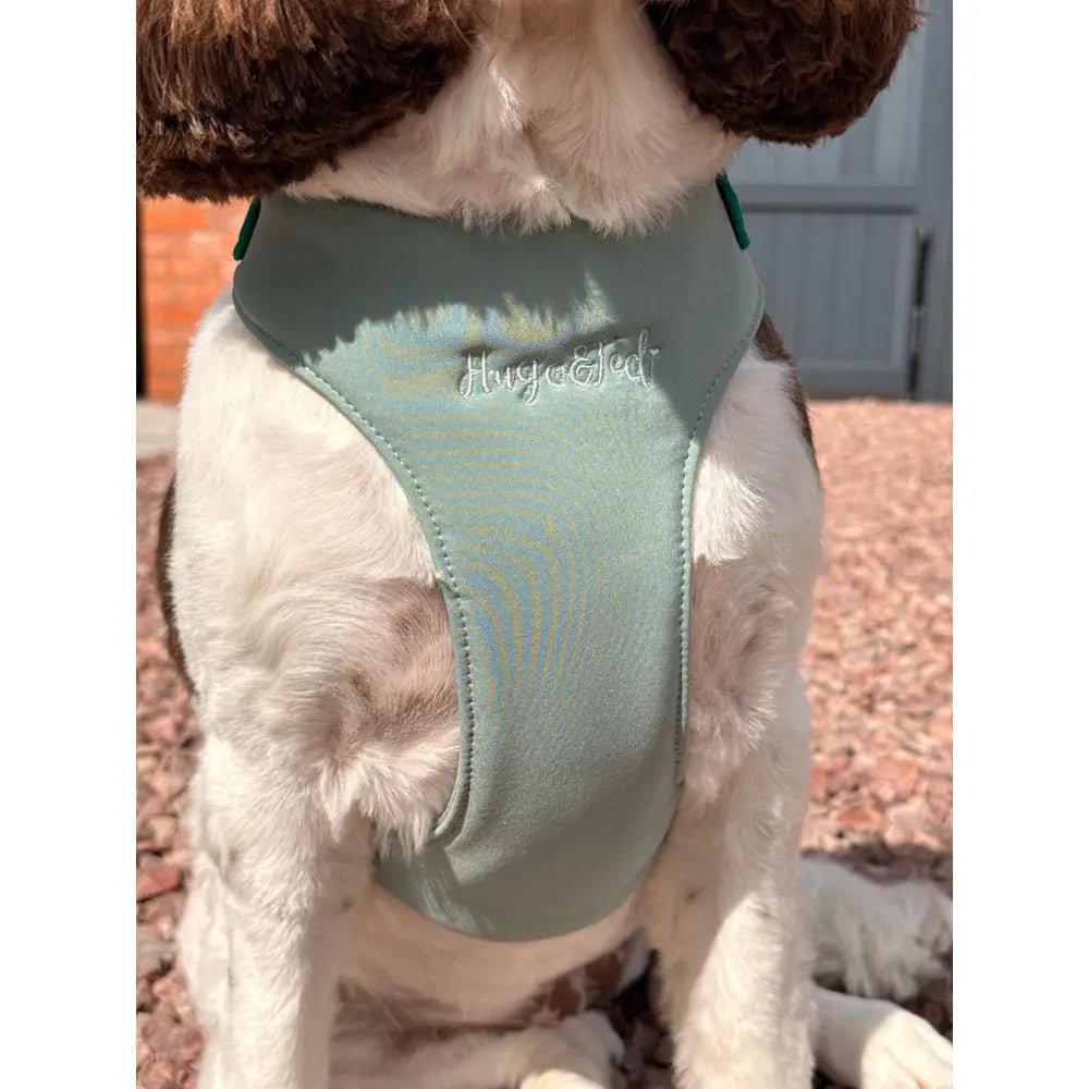 Rainfleece Waterproof Step-In Dog Harness - Made to Measure, All Breeds - Hugo and Ted