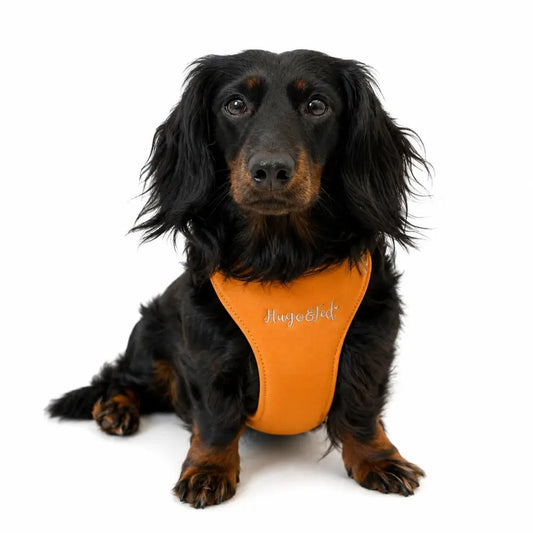 Rainfleece Waterproof Step-In Dog Harness - Made to Measure, All Breeds - Hugo and Ted