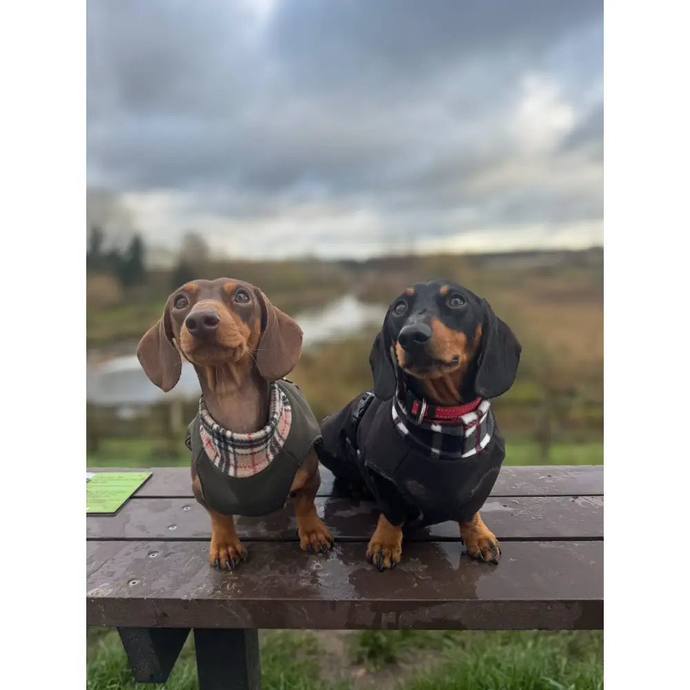 Rainfleece Waterproof Ultimate Walkies Coat - Made to Measure - Hugo and Ted