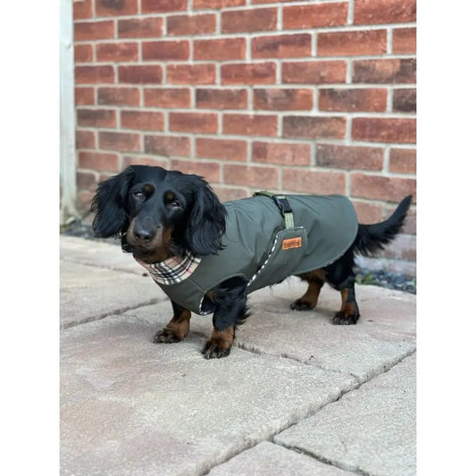 Rainfleece Waterproof Ultimate Walkies Coat - Made to Measure - Hugo and Ted