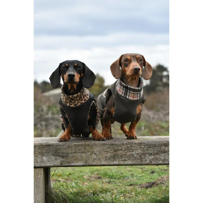 Rainfleece Waterproof Ultimate Walkies Coat - Made to Measure - Hugo and Ted