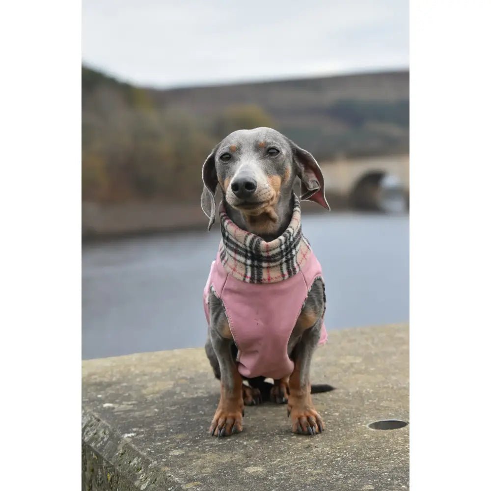 Rainfleece Waterproof Ultimate Walkies Coat - Made to Measure - Hugo and Ted