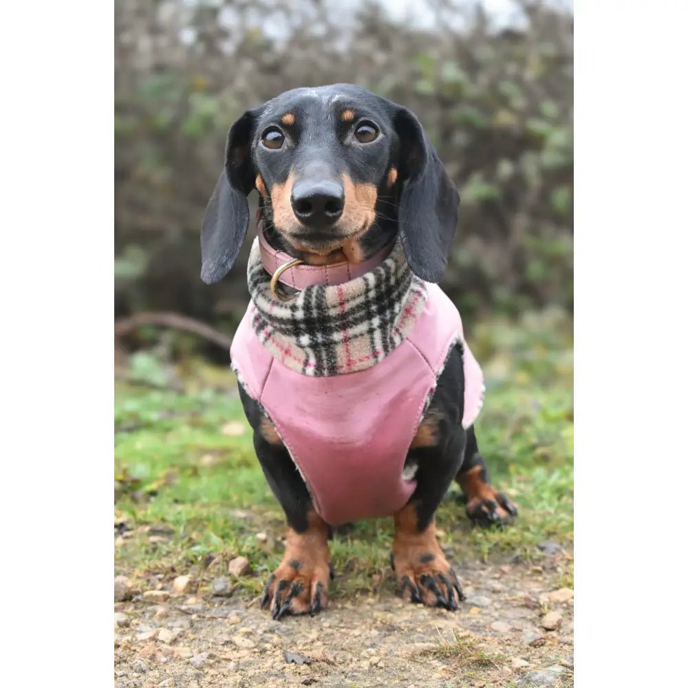 Rainfleece Waterproof Ultimate Walkies Coat - Made to Measure - Hugo and Ted
