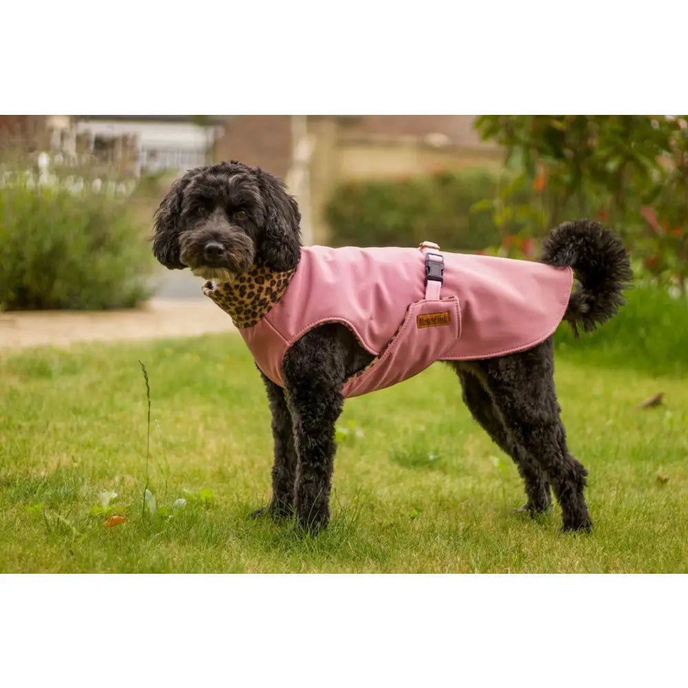 Rainfleece Waterproof Ultimate Walkies Coat - Made to Measure - Hugo and Ted