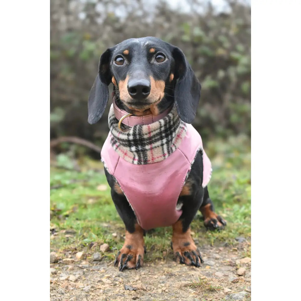 Rainfleece Waterproof Ultimate Walkies Coat - Made to Measure