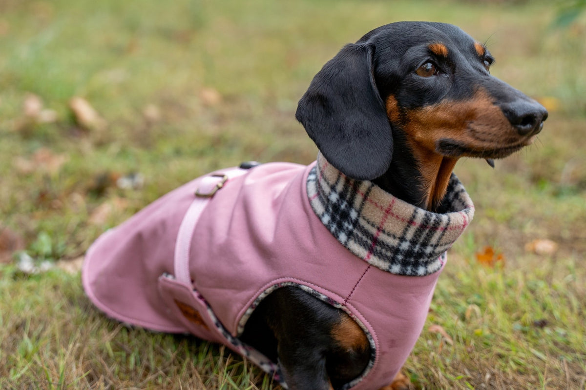 Rainfleece Waterproof Ultimate Walkies Coat - Made to Measure - Hugo and Ted