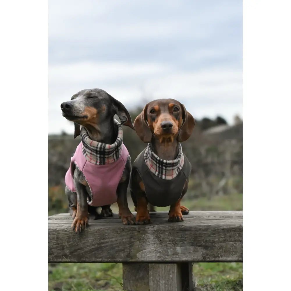 Rainfleece Waterproof Ultimate Walkies Coat - Made to Measure - Hugo and Ted