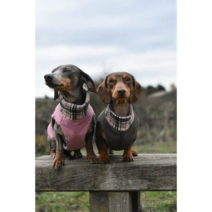 Rainfleece Waterproof Ultimate Walkies Coat - Made to Measure - Hugo and Ted