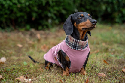 Rainfleece Waterproof Ultimate Walkies Coat - Made to Measure - Hugo and Ted