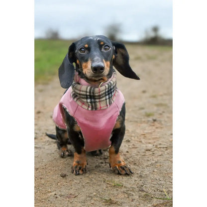 Rainfleece Waterproof Ultimate Walkies Coat - Made to Measure - Hugo and Ted