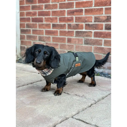 Rainfleece Ultimate Walkies Waterproof Coats - Hugo and Ted