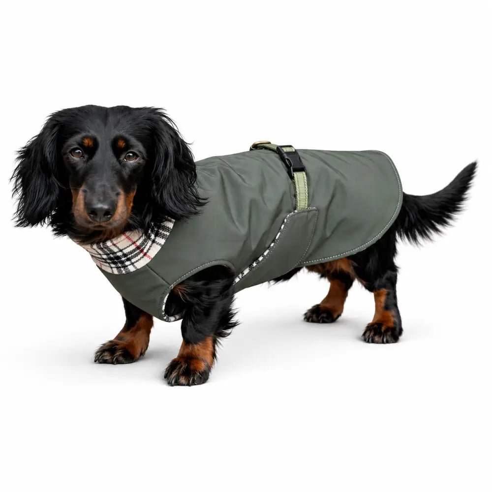 Rainfleece Waterproof Ultimate Walkies Coat - Ready to Ship - Hugo and Ted