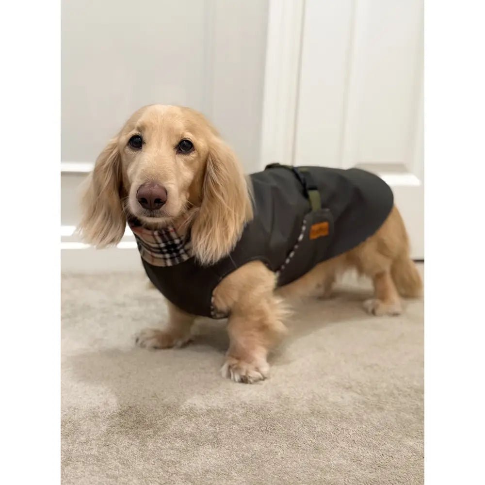 Rainfleece Waterproof Ultimate Walkies Coat - Ready to Ship - Hugo and Ted