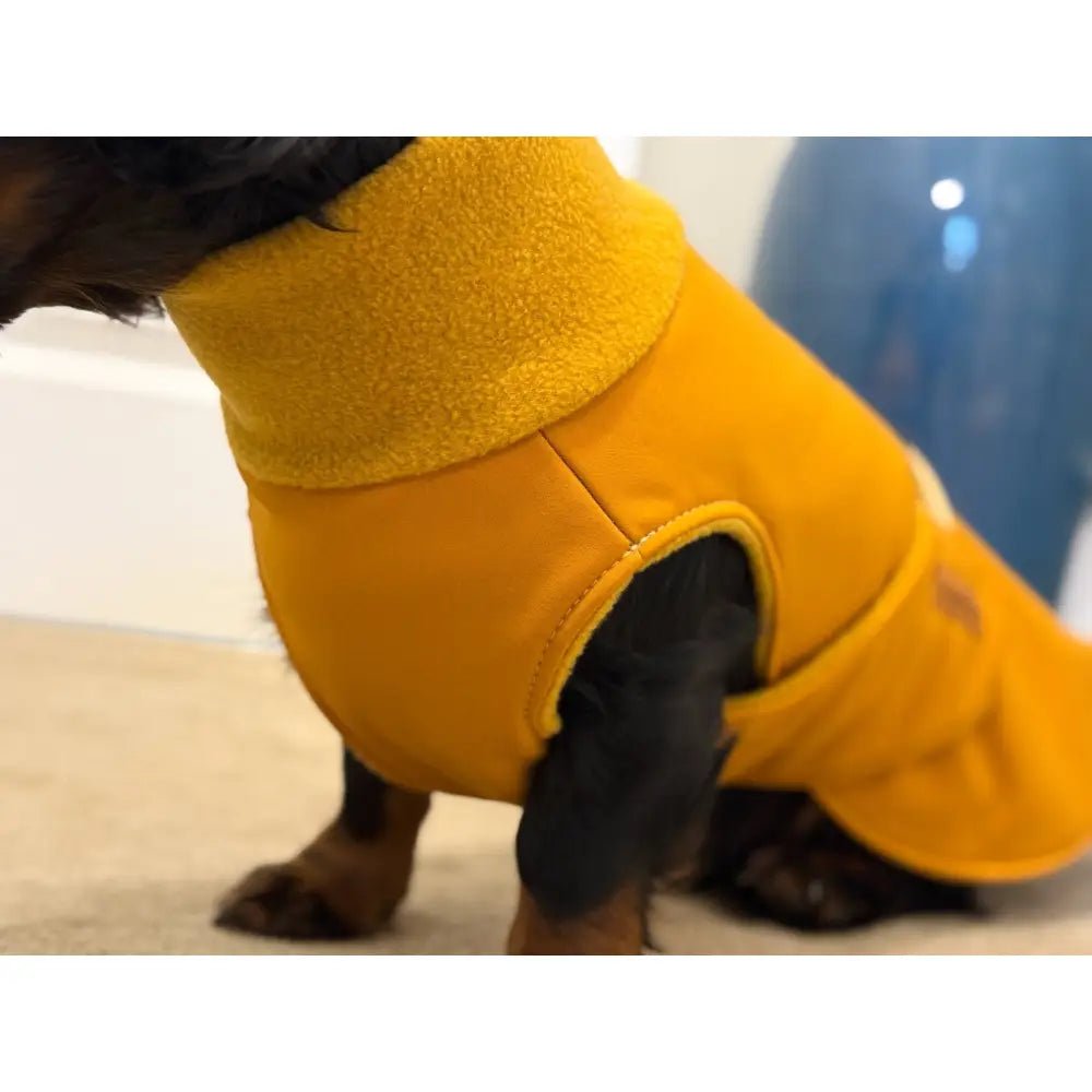 Rainfleece Waterproof Ultimate Walkies Coat - Ready to Ship - Hugo and Ted