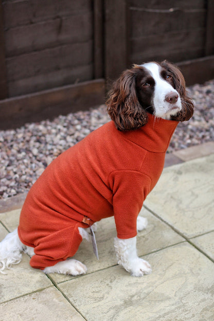 Ready to Ship - Standard Size Fleece Dog Jumpsuit - Hugo and Ted