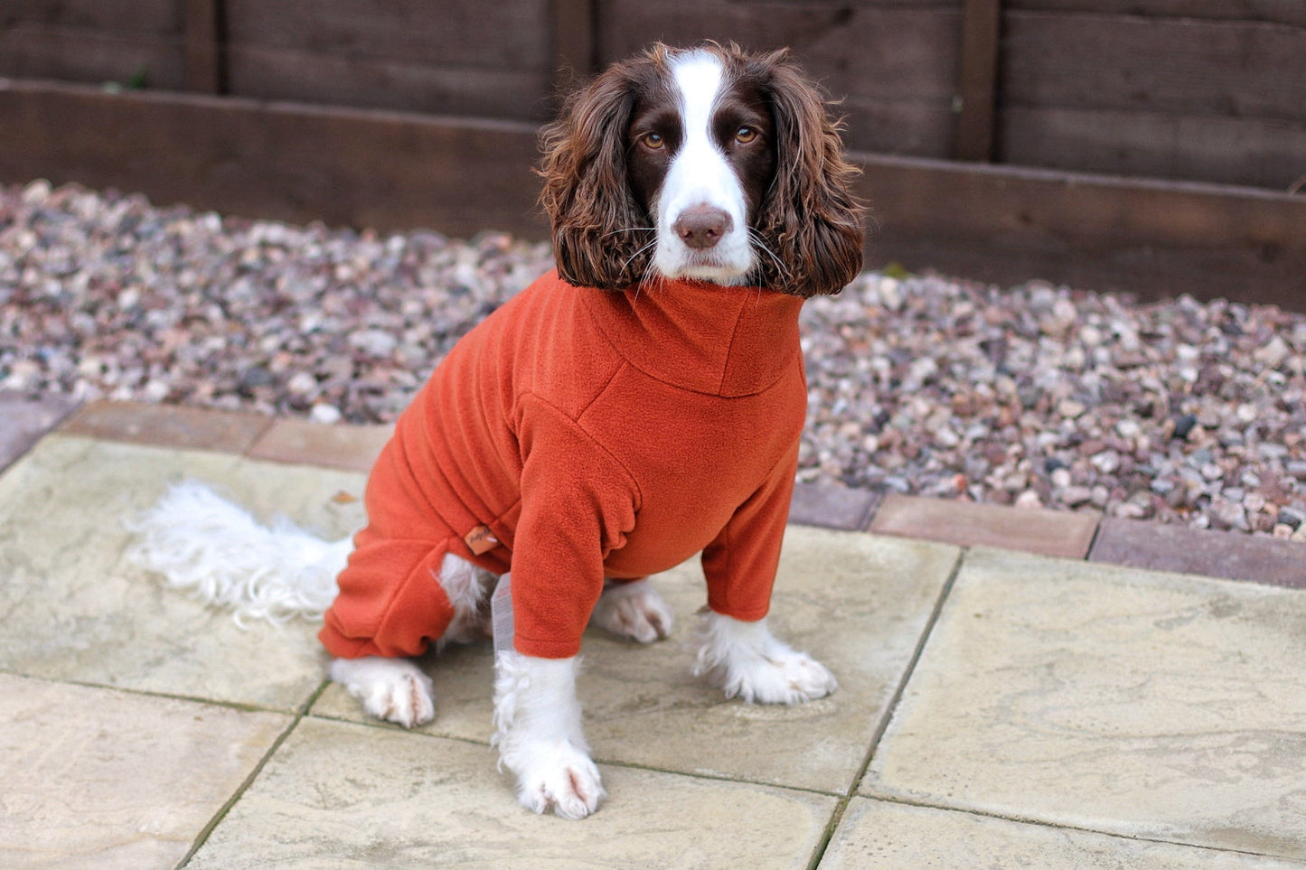 Ready to Ship - Standard Size Fleece Dog Jumpsuit - Hugo and Ted
