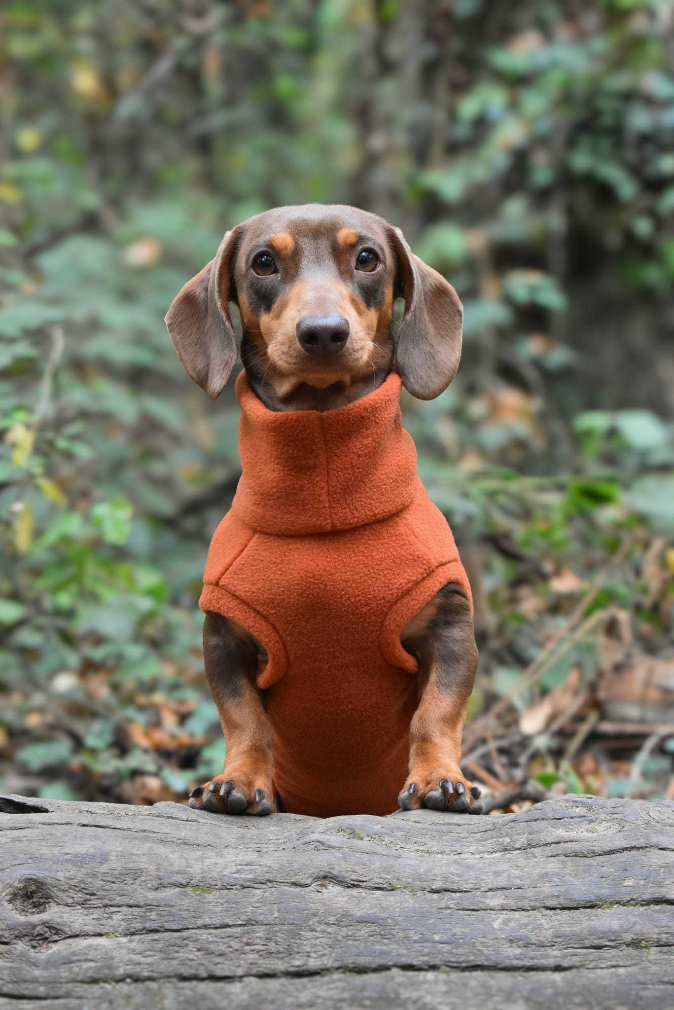 Ready to Ship - Standard Sized Fleece Snuggle Jumpers - Hugo and Ted