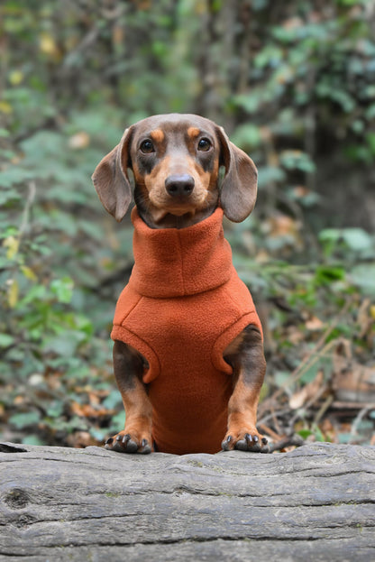 Ready to Ship - Standard Sized Fleece Snuggle Jumpers - Hugo and Ted