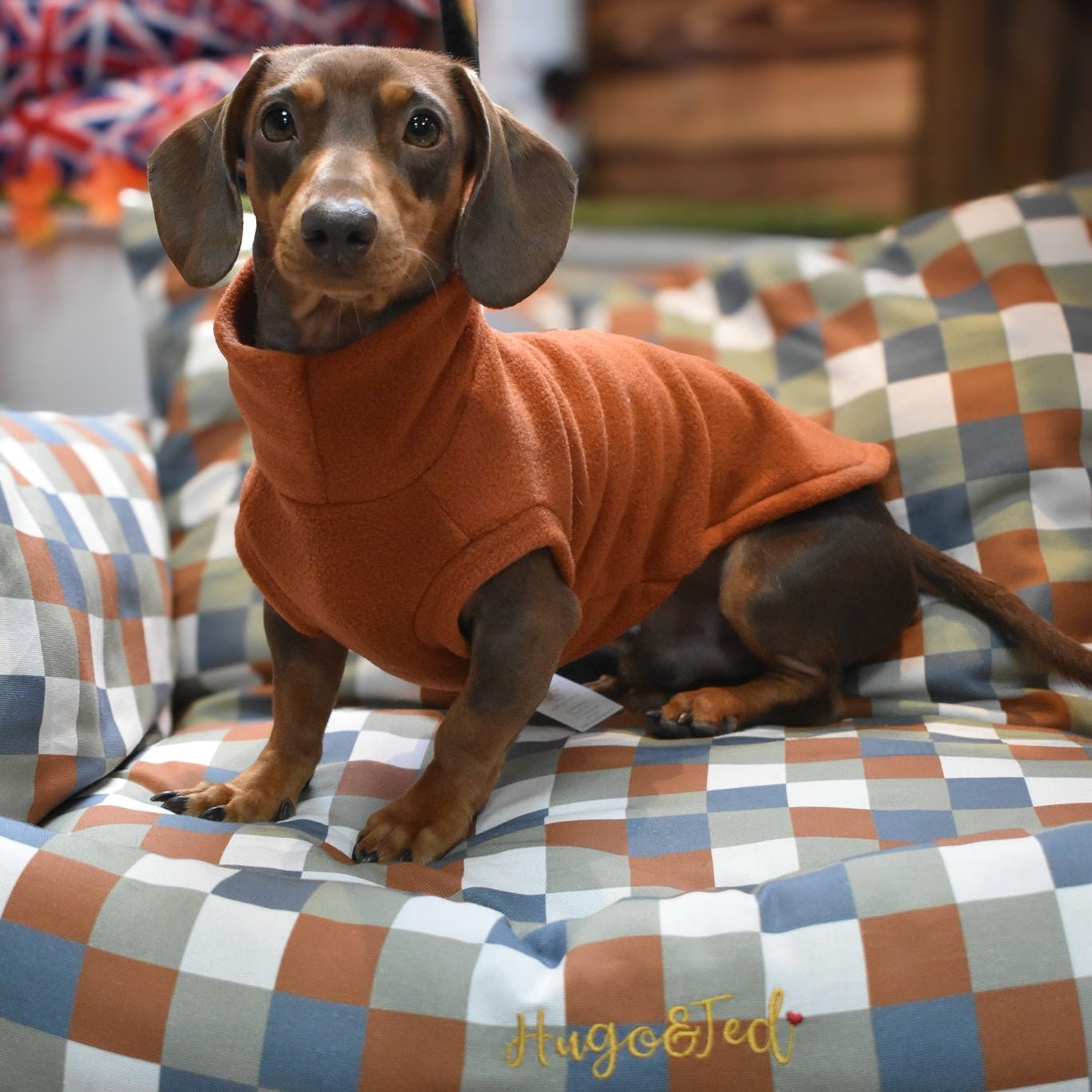 Ready to Ship - Standard Sized Fleece Snuggle Jumpers - Hugo and Ted