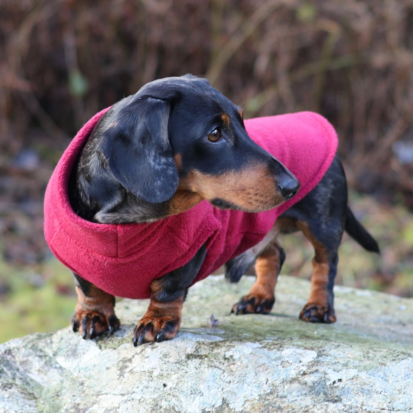 Ready to Ship - Standard Sized Fleece Snuggle Jumpers - Hugo and Ted