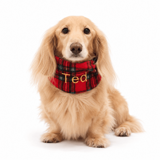 Red Tartan Personalised Dog Snood - Hugo and Ted