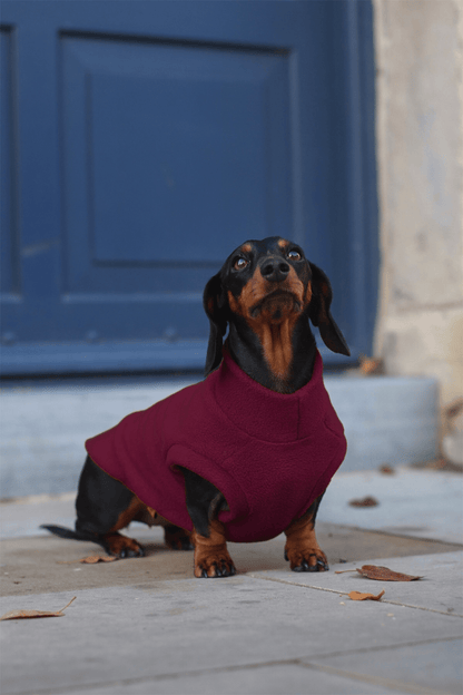 Simply Hugo and Ted - Standard Sized Fleece Snuggle Jumpers - Hugo and Ted