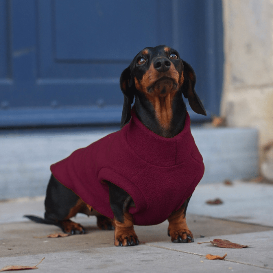 Simply Hugo and Ted - Standard Sized Fleece Snuggle Jumpers - Hugo and Ted
