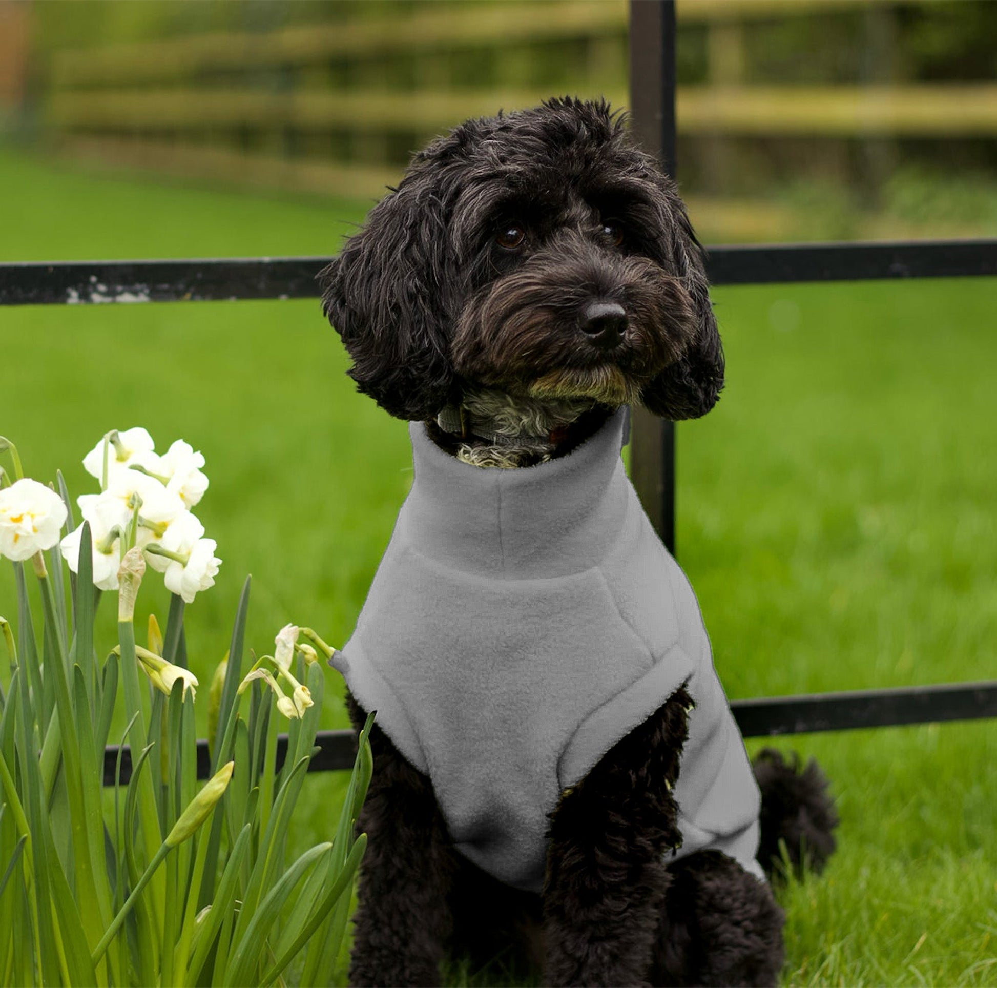 Simply Hugo and Ted - Standard Sized Fleece Snuggle Jumpers - Hugo and Ted